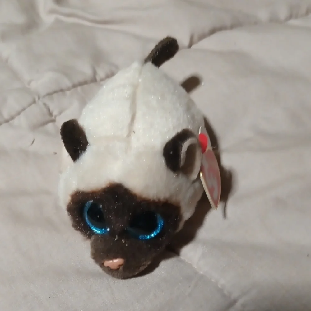 Ty - Plush Siamese Cat Toy - White and Brown- Teeny Tys